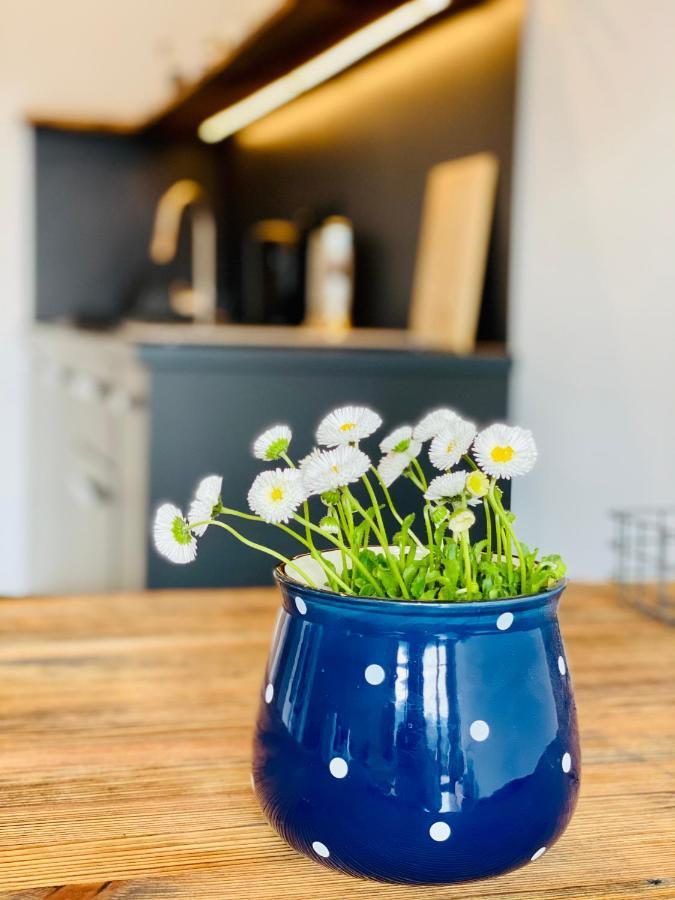 Apartamenty Piwniczna Exteriör bild